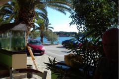 Dedic apartment***** Appartamento 1 foto 3