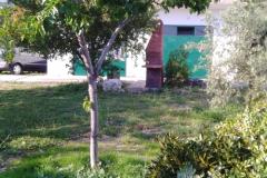 Appartamento Sumić Appartamento 1 – Vespa foto 2
