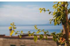 Appartamenti Fluctus TA Appartamento 3 – A2+2 P foto 2