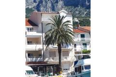 Palm tree apartman Appartamento 1 – Palm tree foto 1