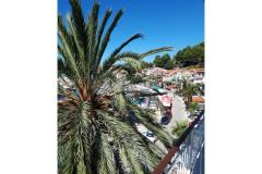 Palm tree apartman Appartamento 2 – Palma foto 1