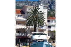 Palm tree apartman Appartamento 2 – Palma foto 2