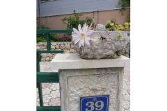 Rako Appartamenti Marilka Appartamento 3 – APARTMAN 2 foto 1