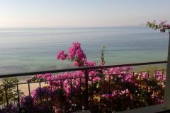Appartamenti Jure Appartamento 2 – apartman1 foto 1