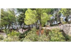 Appartamenti Lavica Appartamento 3 – E3 foto 1