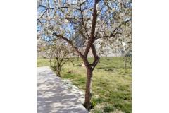 Appartamenti Renić Appartamento 1 foto 1