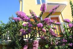 Appartamenti Podstrana Appartamento 2 – Apartman 2 foto 3