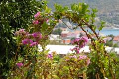 Appartamenti  TOJO Appartamento 3 – A3 foto 2