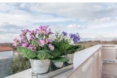 Family friendly Apt with a pool  Appartamento 1 – Apt .Rosa foto 2