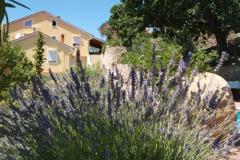 Appartamenti Dumičić Appartamento 3 – A6 donji foto 3