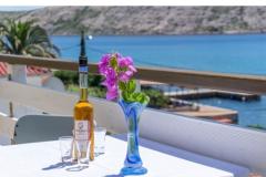 Appartamenti Villa Seka pool & sauna Appartamento 3 – D foto 1