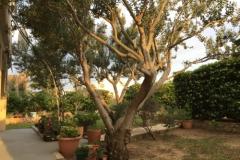 Appartamenti Biba i Luce Appartamento 1 – Veliki foto 4