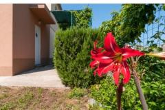 Appartamenti ELLE Appartamento 2 – A2+2 foto 3