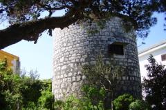 Case vacanza Stari mlin Appartamento 1 – Stari mlin foto 1