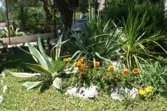 Santa Chiara Appartamenti Appartamento 4 – apartman 4 foto 5