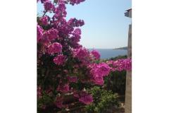 Vesna apartmani Appartamento 2 – A2 foto 1