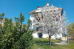 Appartamenti i Camere Markovic Camera 3 – ROOM foto 1