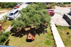 Appartamenti Villa Magnolija Appartamento 3 – apartman 3 foto 4