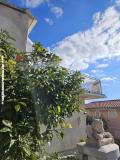 Villa Aura Maris Appartamento 1 – Aura Maris foto 5