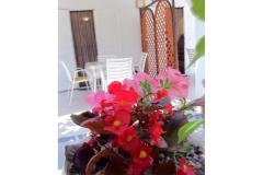 Villa Aura Maris Appartamento 2 – Anka foto 2