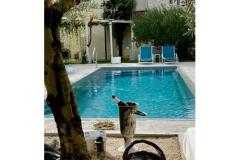 Villa Dube Slano/ villa con piscina Appartamento 4 – studio foto 1