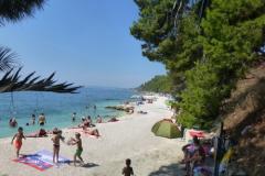 Appartamento Antea Appartamento 1 foto 2