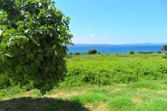 Summerhouse Belomo Appartamento 1 – Belomo foto 3