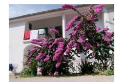 Appartamenti Ive Camera 5 – br5 foto 4