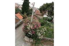 Appartamenti Gogi Appartamento 4 – A4 foto 3