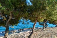 Appartamenti Vujica  Appartamento 1 – Apartman 1 foto 1