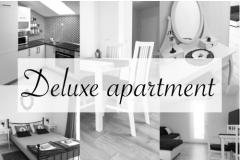 Logos Appartamento 1 – Delux foto 1