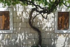 Stara kuća Appartamento 1 – Stara kuća foto 2