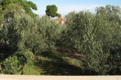 Appartamenti Ante Appartamento 1 – A1 foto 5