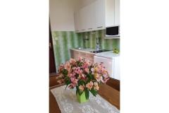 Appartamenti Branko Vidaković Appartamento 4 – Apartman 4 foto 4