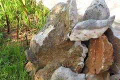 Appartamenti ENA Appartamento 1 – A2 foto 4