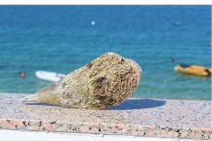 Appartamenti Por Appartamento 2 – Dvosobni foto 2