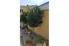Ferienanlage Villa Ljiljana Appartamento 2 – Bungalow foto 2