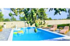Villa Dora Appartamento 1 – Villa Dora foto 1