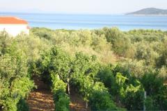 Antonela  Appartamento 4 – Seaview D foto 4