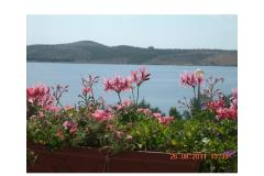 Appartamenti Lora Appartamento 2 – A2 foto 1
