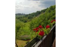 Appartamenti Potočki Appartamento 1 – Apartman 1 foto 1