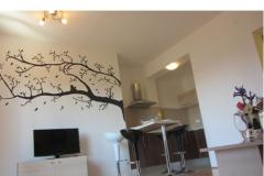 Appartamenti Zora Appartamento 2 – apartman 2 foto 1