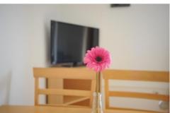 Appartement Graf Appartamento 3 – Ap 2+3 foto 4