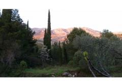 Appartamenti Lily Appartamento 2 – A2 foto 4