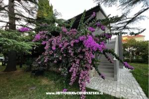 Flowers Appartamento Medulin, Fucane 2 – Medulin
