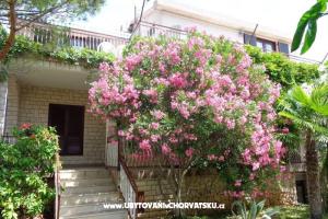 Appartamenti  IVAN   – Vodice