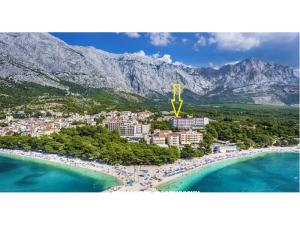 Ruža