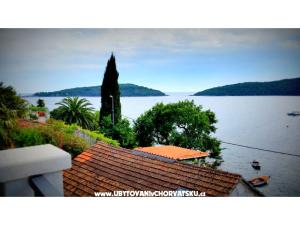 Appartamenti Villa Riva Molunat