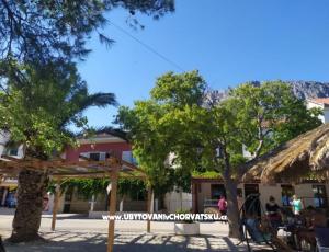 Appartamenti Plavi Jadran