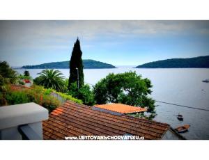 Appartamenti Villa Riva Molunat